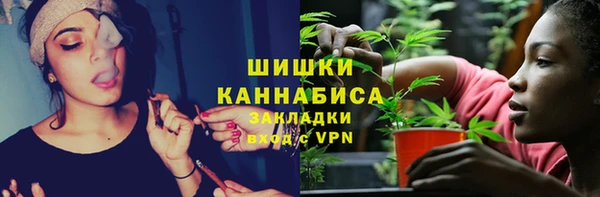 ПСИЛОЦИБИНОВЫЕ ГРИБЫ Бугульма