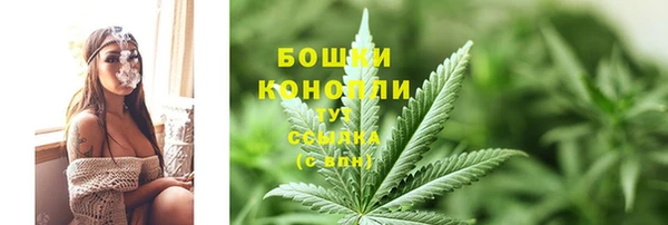 сатива Богородск