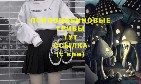 ешки Богородицк