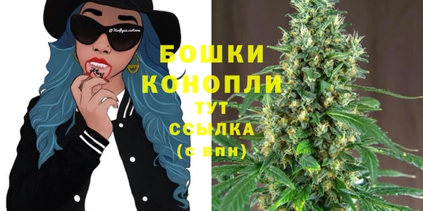 дживик Пенза