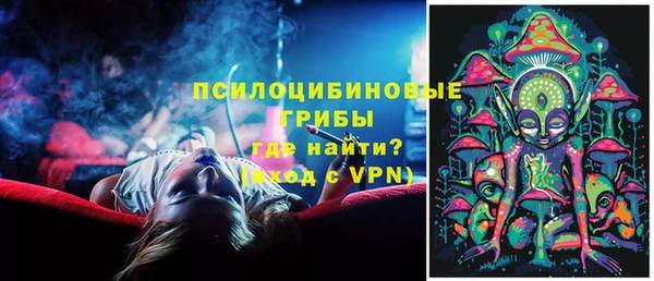 соль ск Киров