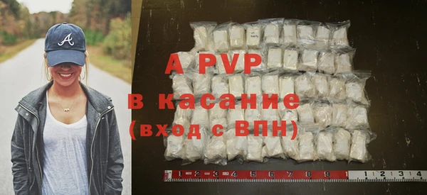 амф Богданович