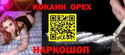 СК Новозыбков