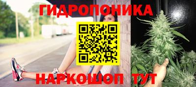 СК Новозыбков