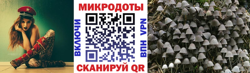 наркошоп Горно-Алтайск Галлюциногенные грибы Psilocybe