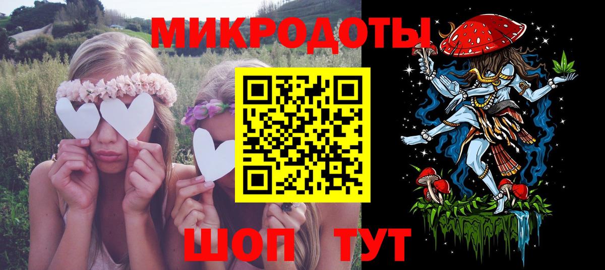 Галлюциногенные грибы Psilocybine cubensis Горно-Алтайск
