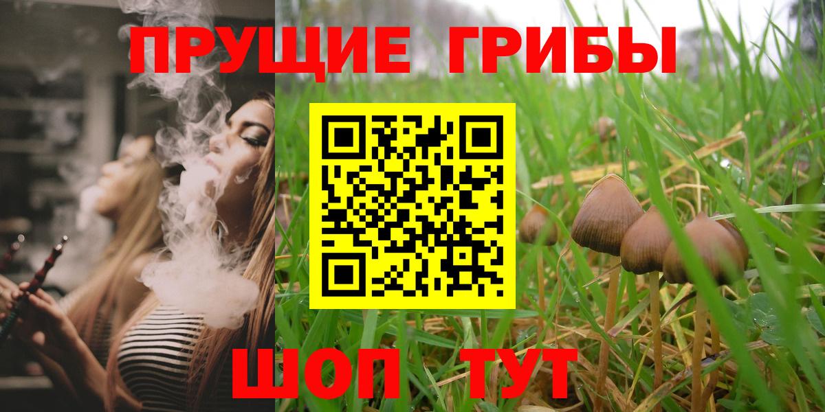 Горно-Алтайск  Псилоцибиновые грибы Psilocybe  Вход с VPN 